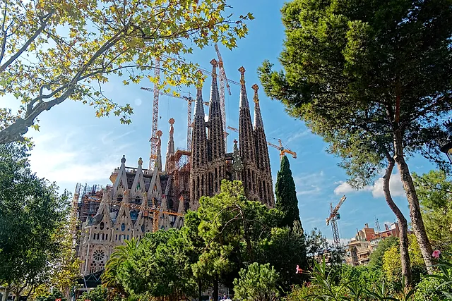The towers and the Nativity facade seen through the trees of Plaça de Gaudí, with construction cranes behind